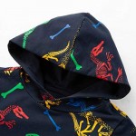 HZXVic Kids Dinosaur Hoodies for Boys Toddler Sweatshirt Casual Long Sleeve Pullover Tops