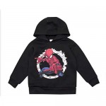 Marvel 2-Pack Spiderman Hoodie Sweatshirts for Boys and Toddlers Apparel