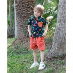Toddler Baby Boy Clothes Shirt Tops Shorts Set Little Boy Summer Outfits Baby Boy's Clothing