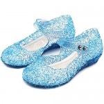 Amtidy Frozen Inspired Elsa Flats Mary Jane Dance Party Cosplay Shoes