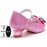 Walofou Flower Girls Dress Shoes Wedding Party Heel Mary Jane Princess Shoes Flats for Kid Toddler