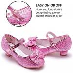 Walofou Flower Girls Dress Shoes Wedding Party Heel Mary Jane Princess Shoes Flats for Kid Toddler