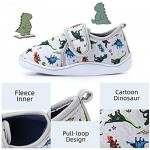 Dream Brigde Daycare Slippers Dinosaur Indoor Outdoor Slip-on Winter House Shoes Bedroom Shoes for Toddler Kids