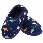 LA PLAGE Dinosaur Slippers for Boys Anti Slip Little Kid Slippers for Kid with Memory Foam