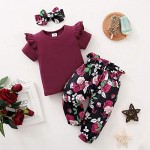 Infant Baby Girl Clothes Cute Toddler Girl Clothes Cotton Short Sleeve 2PCS Ruffle Tops + Pants Summer Outfits Set